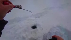 Рыбалка на красивейшей реке. Мормышка. Жерлицы