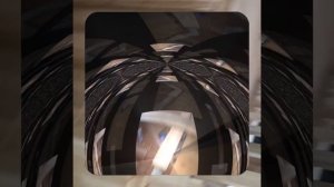 1000043233.mp4 (Собака наблюдает за лайфхаками при строительстве дома А-фрейм)