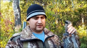 Открытие по боровой. Охота на рябчика с подхода.
