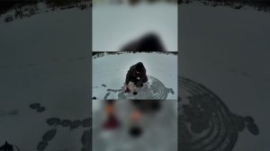 Первый лёд 2025-2026 ловля на жерлицы 🔥✅🎣