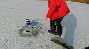 Торгай второй лед. Щука на жерлицы.