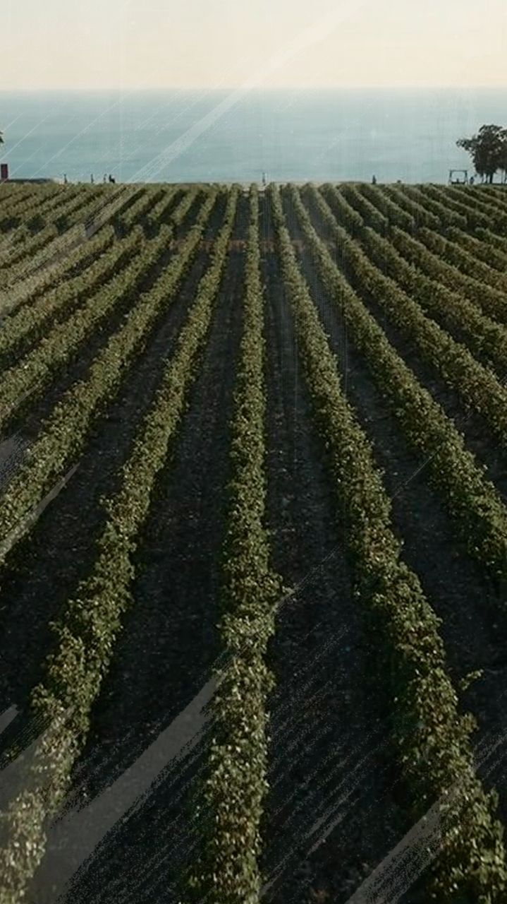 Документальный сериал в описании смотреть онлайн