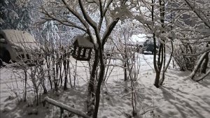 Поездка в город на автобусе. Что купила?