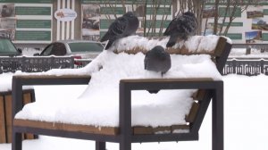 Астрономическая зима: похолодание пришло в Вологодскую область