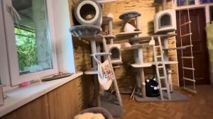 ПЕРВАЯ ВСТРЕЧА Мани, Анфисы и Финика прошла немного нервно, Анфиса не хочет признавать Маню!