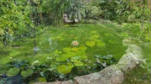 ОСТАВАЙТЕСЬ С НАМИ! Делюсь опытом и позитивом!