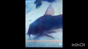 берите музыку