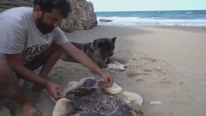 ХАКАН._.  Рыбалка и готовка. Бушкрафт. Кэмпинг.