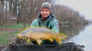 Хороший клёв карпа на флэт фидер, рыбалка зимой по холодной воде