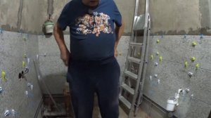 Уши краснеют и всё