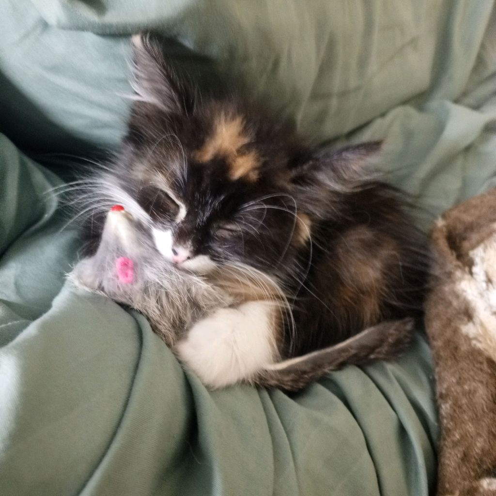 Кулинарие смотреть онлайн