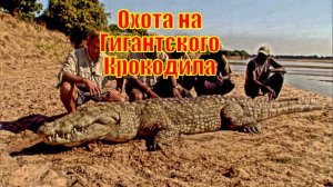 Эпическая Охота на Гигантского Крокодила в Замбии