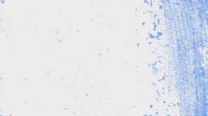 Snow Transitions | 10 плавных переходов снегопад 4K | Бесплатно для монтажа