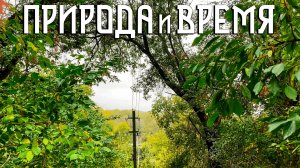Природа и Время / Один ракурс, один год изменений