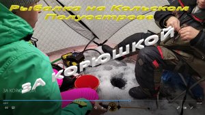 ЗА КОРЮШКОЙ. Поездка на Имандру за рыбой.