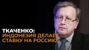 Ткаченко: разорительный кредит ЕС, мировая золотая лихорадка и соглашение ЕАЭС с Индонезией