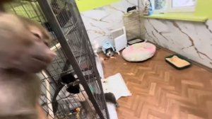 Маня со всей своей любовью пытается наладить отношения с Анфисой, но она слишком напориста)