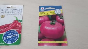 Уникальный супер урожайный томат. Обзор семян.