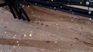 1000043227.mp4 (Собака наблюдает за лайфхаками при строительстве дома А-фрейм)