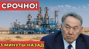 Скандальные сообщения о задержании европейских экологов в Казахстане факты версии и вопросы без