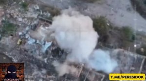 Очередная сказка про трёх поросят