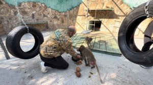 Степа, Люся, Маня и Тося ТАК СОСКУЧИЛИСЬ, что просто не отпускают нас ни на шаг, ТАКА ЛЮБОВЬ)))