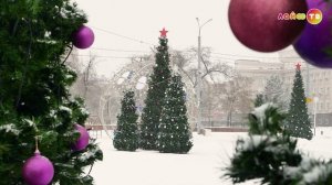 Ёлки в городе Оренбург 2025