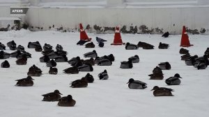 УСПЕТЬ ВСЕ В ПОСЛЕДНЮЮ РАБОЧУЮ НЕДЕЛЮ УХОДЯЩЕГО ГОДА