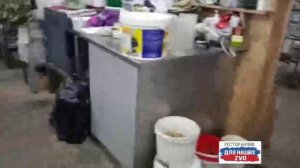 Команда тружеников второго ресторанчика работает. 🔥 Всё вкусное и полезное для наших героев. 😋