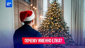 Почему именно елка — символ Нового года?