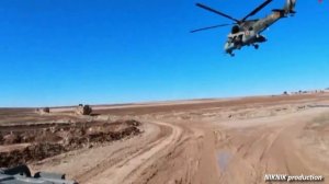 Ласточка пятнистая моя