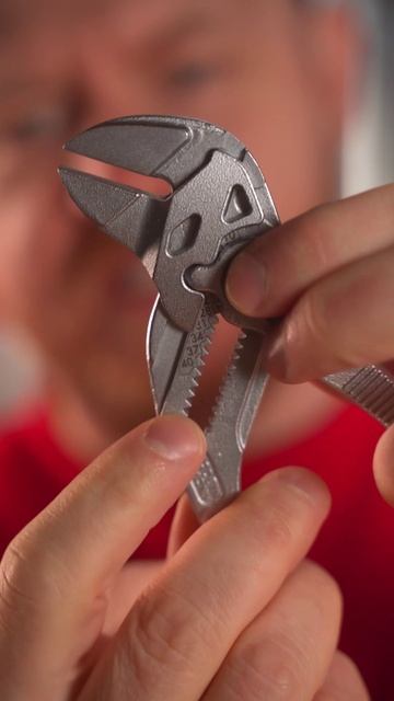 Внимание! Сезон клещей в самом разгаре 😲 смотреть онлайн