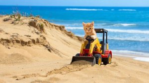 СКАЗКИ ДЕТЯМ | СКАЗКА | КРАСИВОЕ ВИДЕО