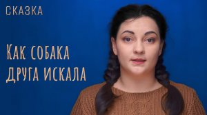Сказка "Как собака друга искала"