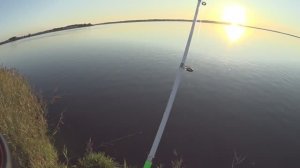 ЛОВЛЮ КАМБАЛУ, СНИМАЮ НА ПАЛКУ, ПОЙМАЛ СИГА,  ЯГРЫ, ВЕЧЕР И УТРО