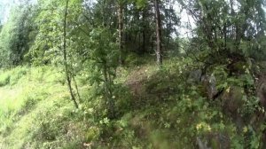 губа Летняя