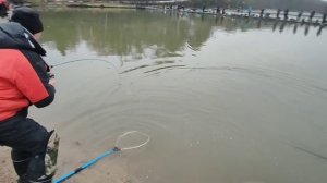 Поимка на пламп