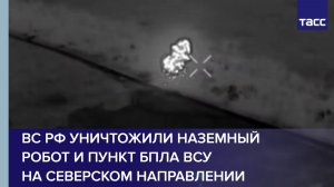 ВС РФ уничтожили наземный робот и пункт БПЛА ВСУ на северском направлении