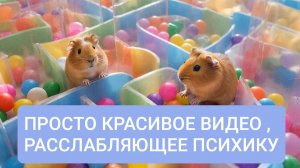 РАССЛАБЛЯЮЩЕЕ ВИДЕО | АСМР