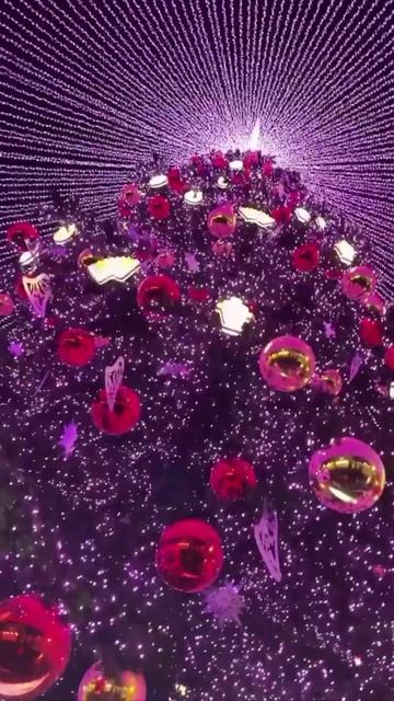 ��� �������� ���� � ����