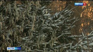 Вести-Томск, выпуск от 22.12.2025 11:30