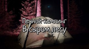 Печной кемпинг в сыром лесу