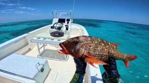 Подводная рыбалка на рифе / Хороший улов / Видеоролики о подводной охоте !