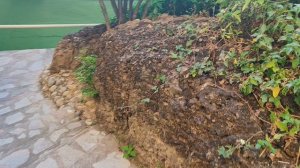 Dusit Thani Pattaya 5 .mp4