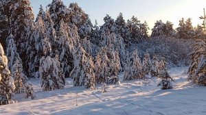 Мороз и солнце, день чудесный!