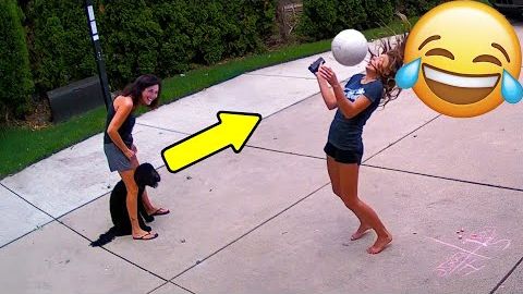 😸 Лучшие смешные видео с животными для поднятия настроения! 🐈 Улыбнитесь! 🐱