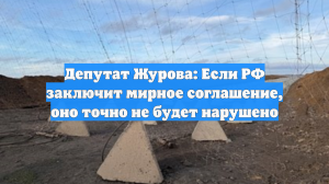 Депутат Журова: Если РФ заключит мирное соглашение, оно точно не будет нарушено