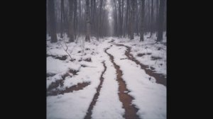 Мы держим путь в сторону леса (Алиса cover)