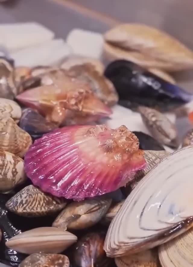 10 тонн моллюсков в месяц！ смотреть онлайн