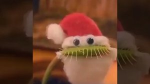 Топ причин завести мухоловку — поднимать новогоднее настроение: